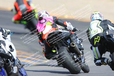 media/Mar-10-2024-SoCal Trackdays (Sun) [[6228d7c590]]/9-Turn 8 Backside (1150am)/